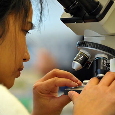 A biology student adjusts a microscope slide.