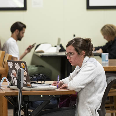 Students study online in the library.