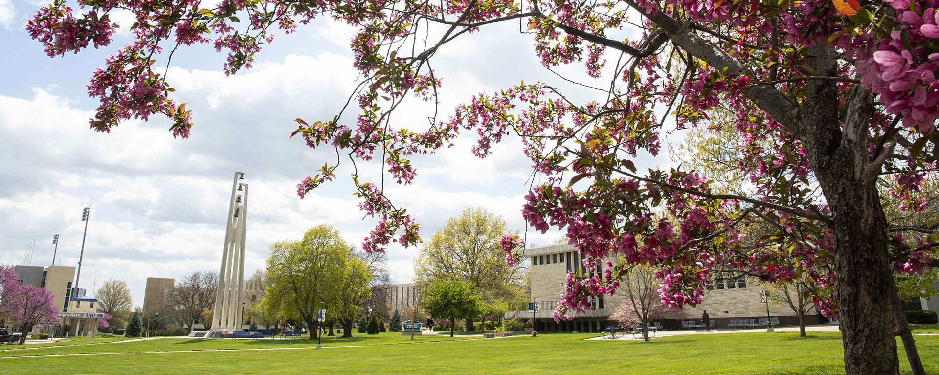 Campus in spring.