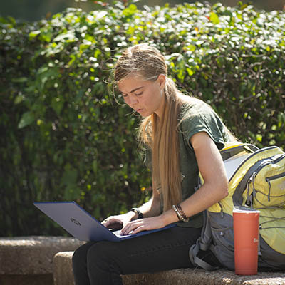 A student studies on their laptop outside on a bench.